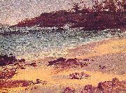 Albert Bierstadt Bahama_Cove oil